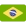 Brazillian flag